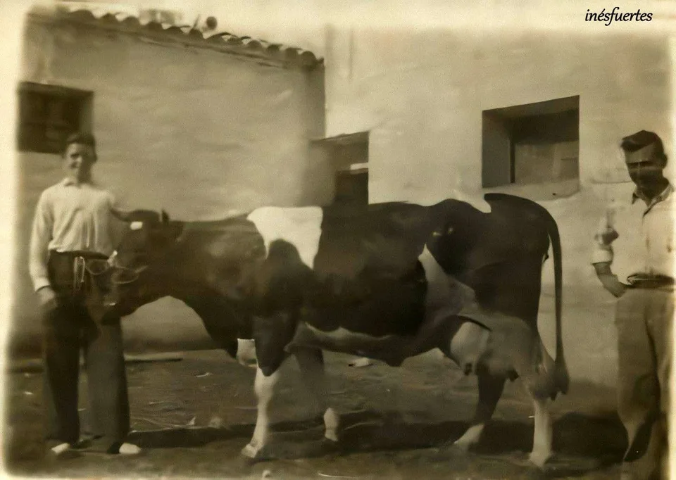 Fotografía por identificar