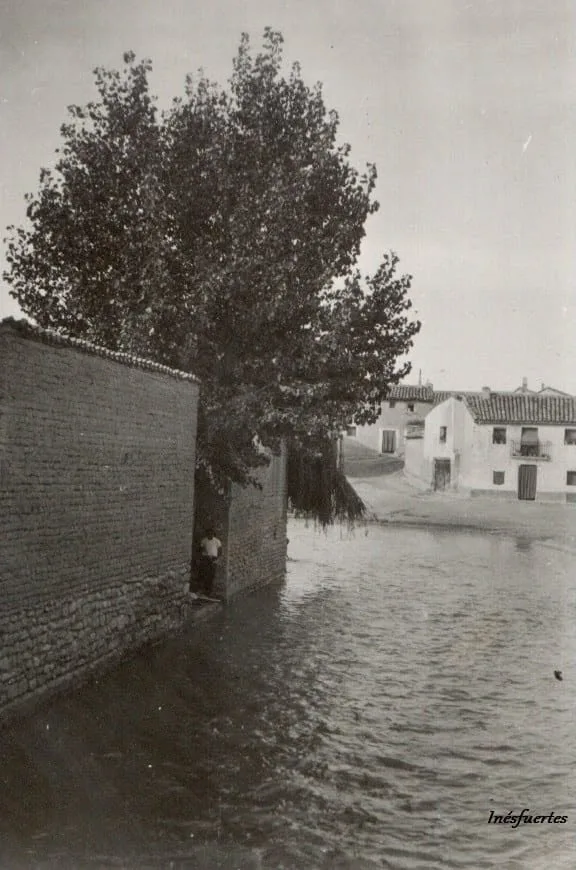 Fotografía por identificar