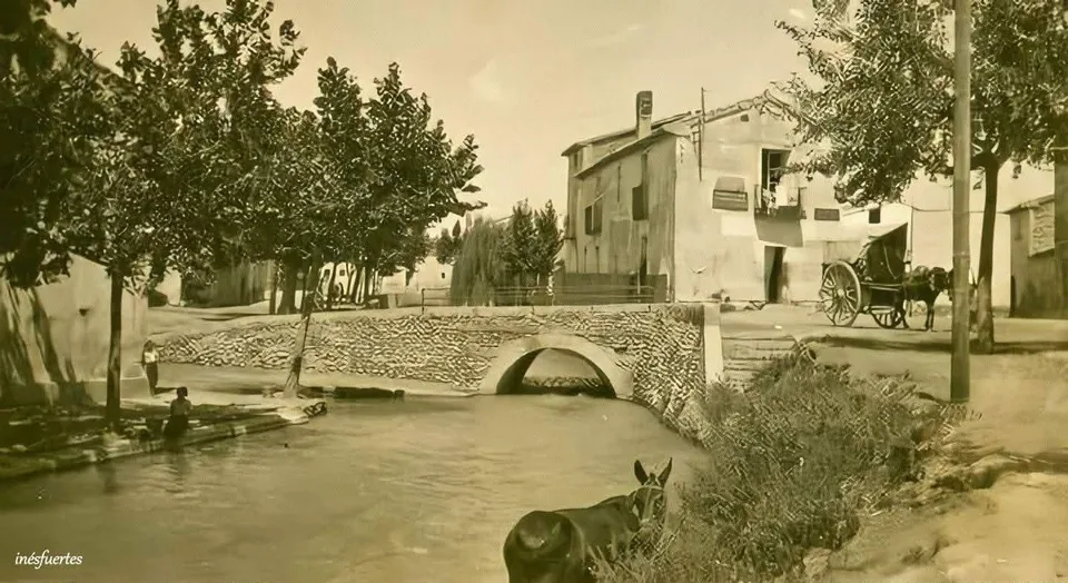 Fotografía por identificar