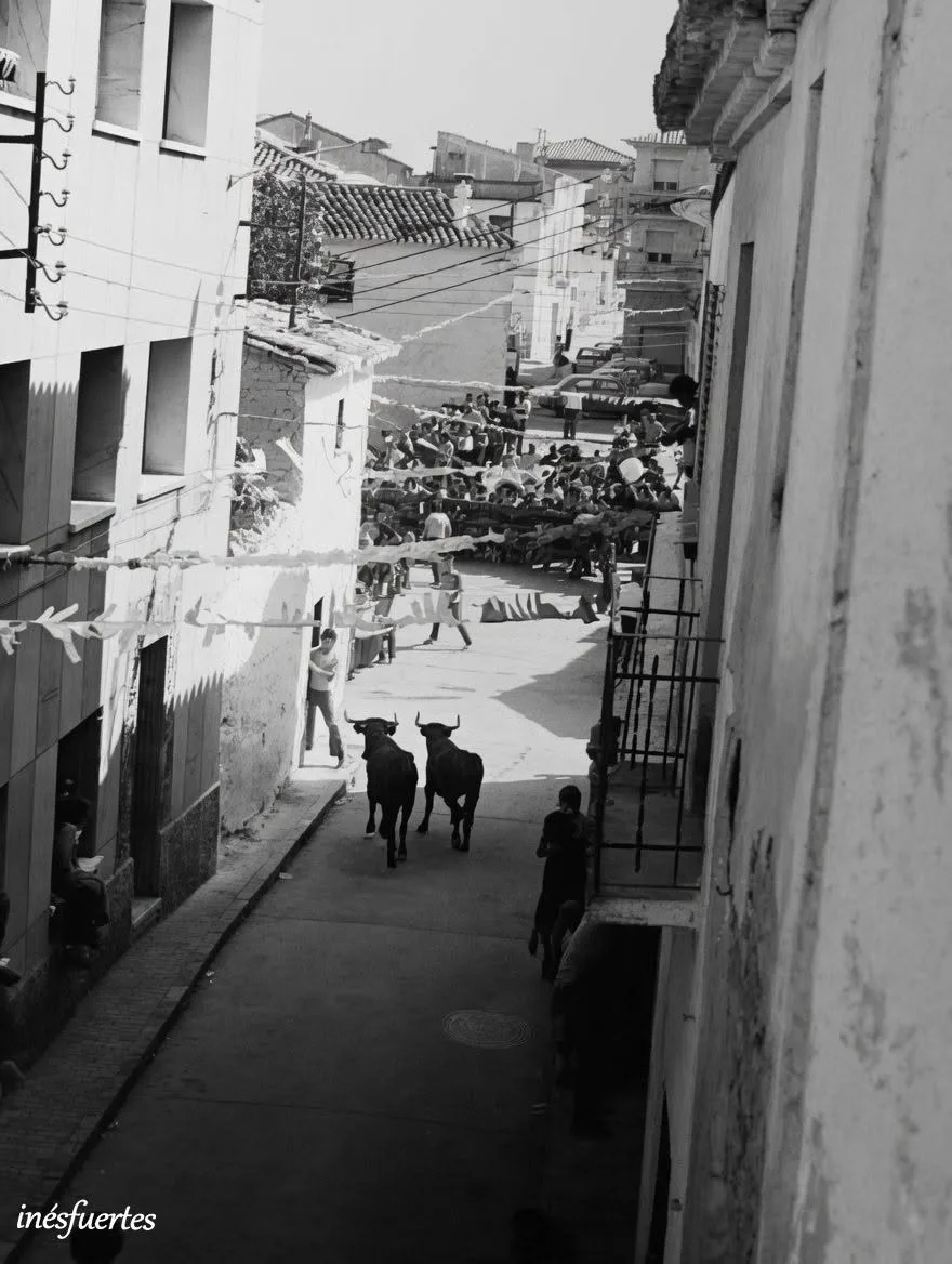 Fotografía por identificar