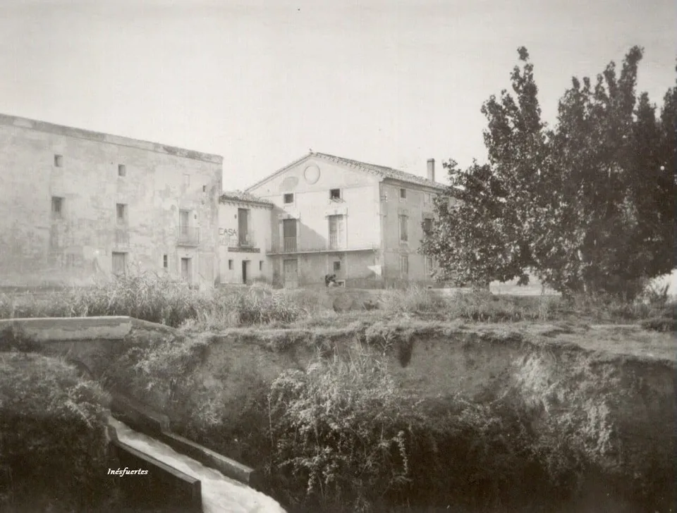 Fotografía por identificar
