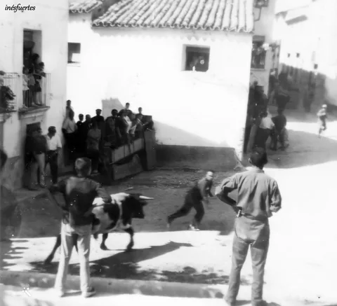Fotografía pendiente de identificar