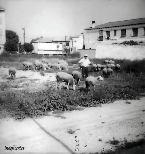 Fotografía pendiente de identificar