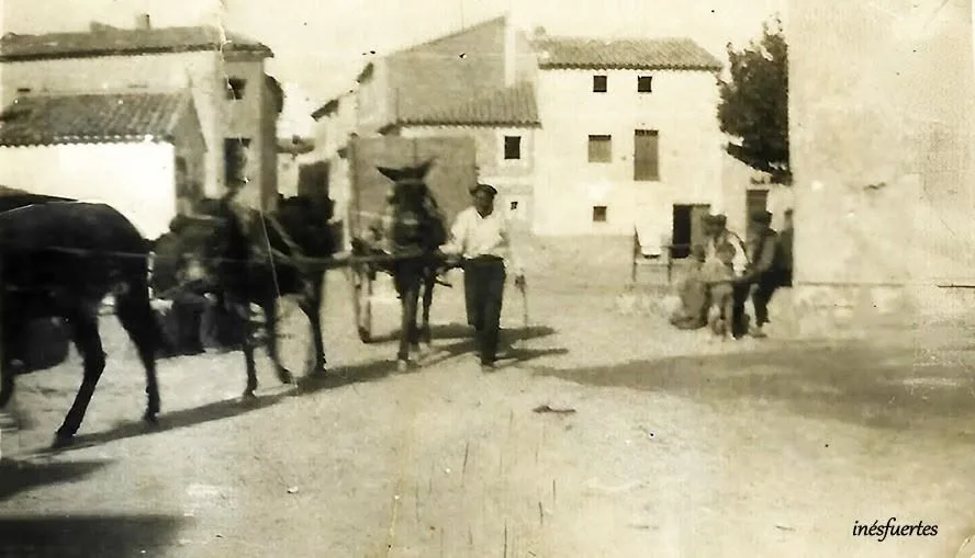 Fotografía por identificar