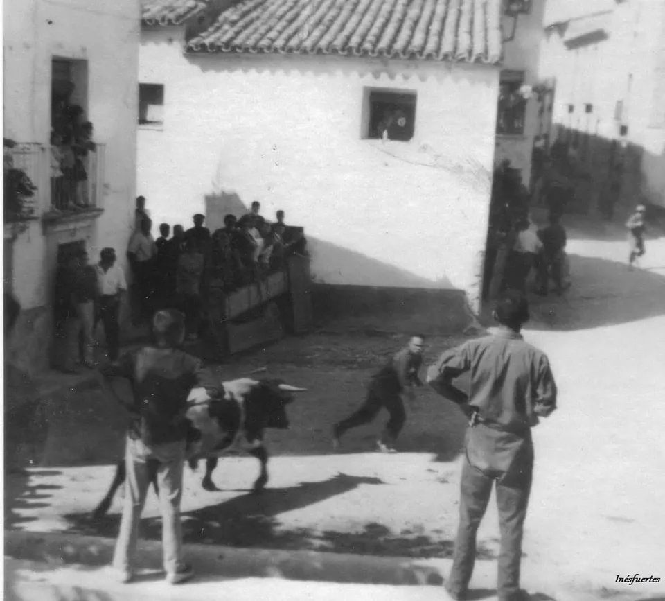 Fotografía por identificar