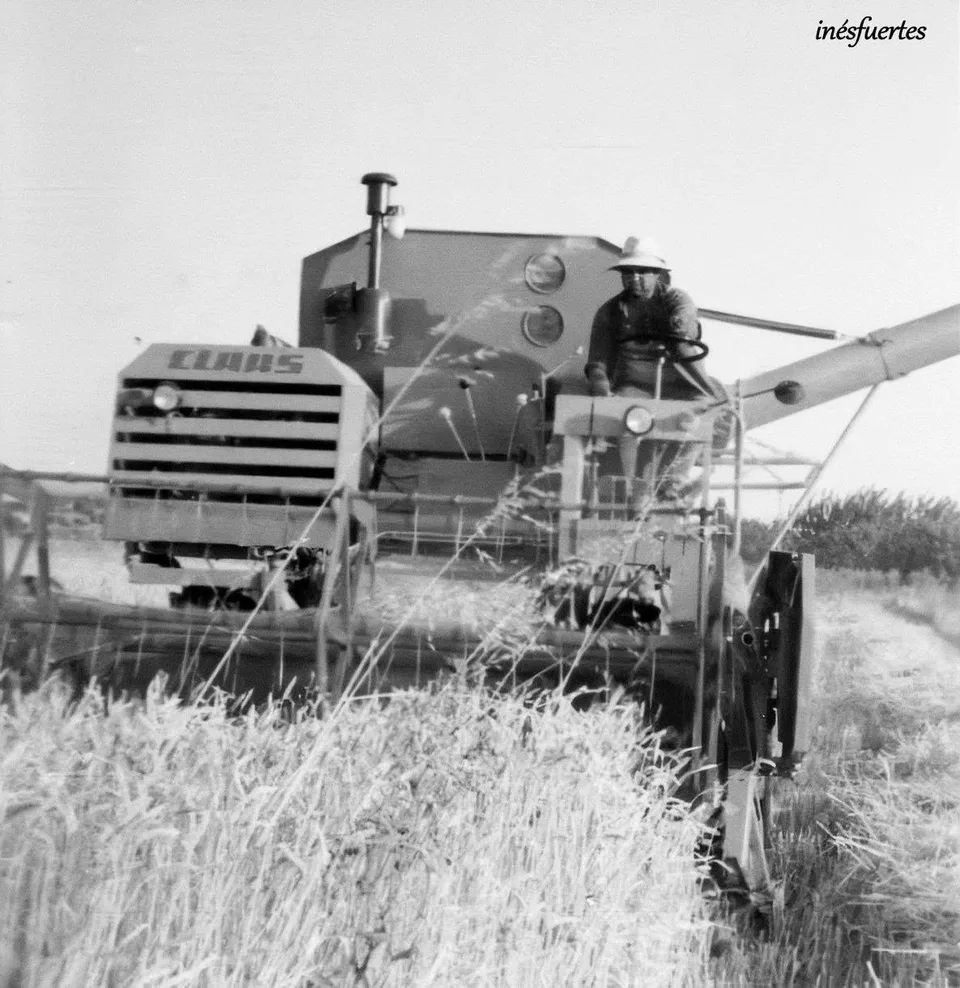Fotografía por identificar