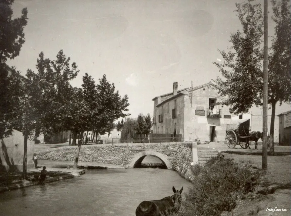 Fotografía por identificar