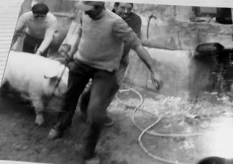 Fotografía pendiente de identificar