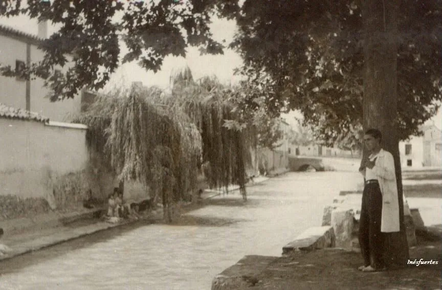 Fotografía por identificar