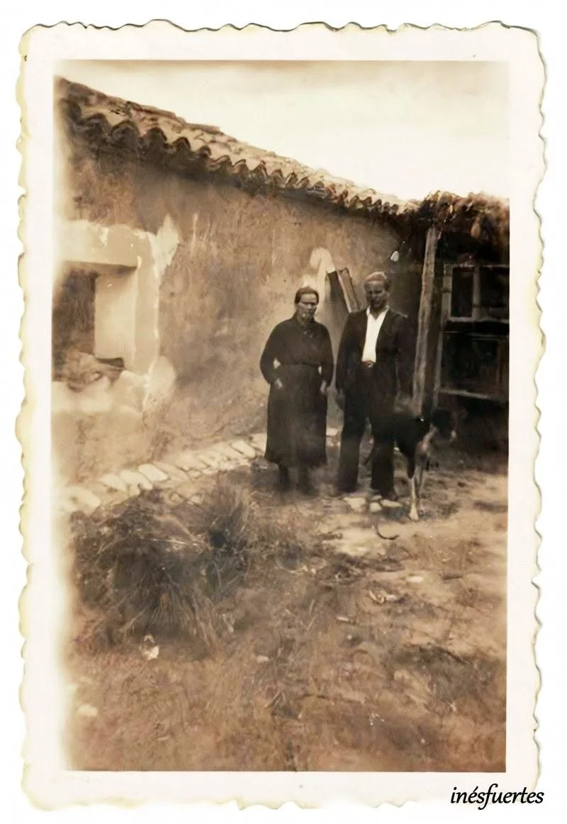 Fotografía por identificar